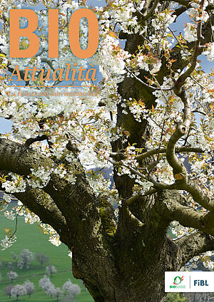 Copertina di Bioattualità 5|23: La fioritura dei ciliegi 