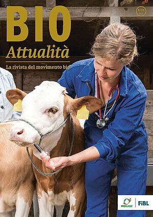 Copertina di Bioattualità 8|2020 : Hannah Ayrle, veterinaria presso il FiBL, somministra una tintura di echinacea a un vitello.