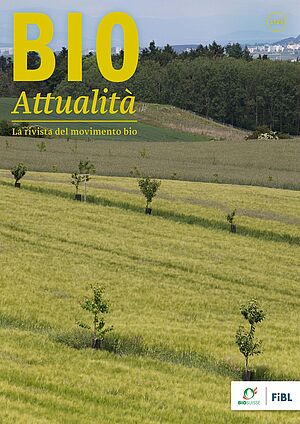 Copertina di Bioattualità 1|24: Prati/campi con singoli alberi giovani