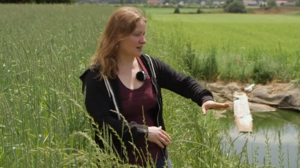 Una signora e un piccolo pozzo d'aqua