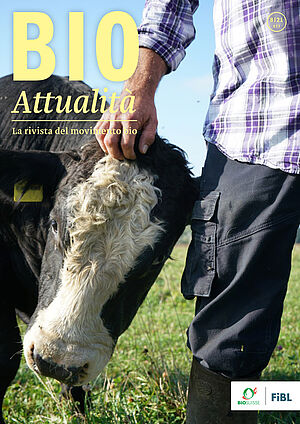 Copertina di Bioattualità 8|2021: Un bovino e un uomo