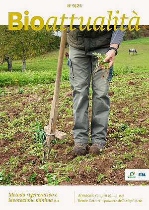 Copertina di Bioattualità 9|25: Una persona è in piedi nel campo con un estirpatore per romice.