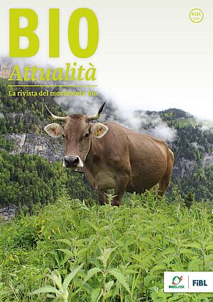 Copertina di Bioattualità 6|2021: una mucca sull'alpe