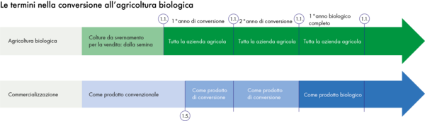 Grafica: dal promemoria FiBL «Conversione al bio»