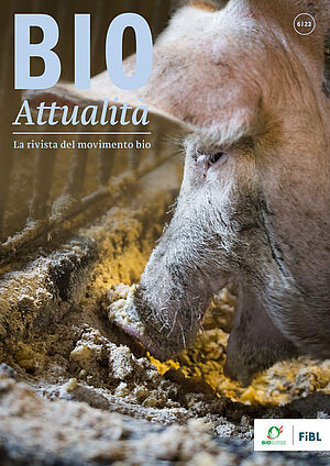 Copertina di Bioattualità 6|23: Un maiale è ciò che mangia.