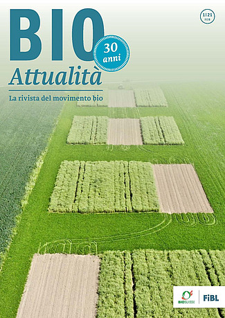 Copertina di Bioattualità 1|2021 : Campi per la ricerca bio