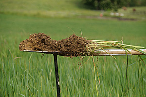 Un pezzo di terreno tagliato con la vanga viene tenuto in posizione orizzontale.