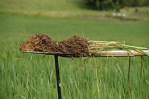 Un pezzo di terreno tagliato con la vanga viene tenuto in posizione orizzontale.